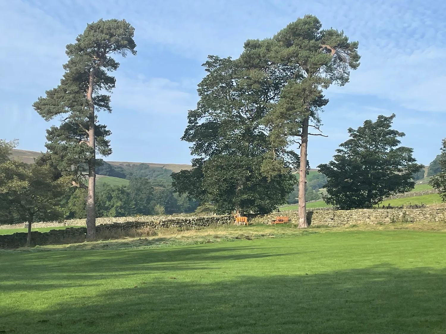 North York Moors countryside